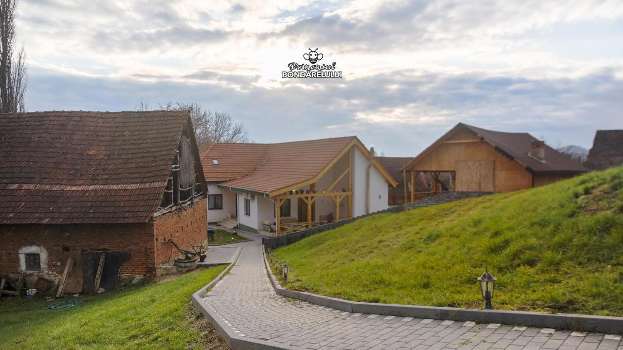 Hotel Domeniul Bondarelului Ocolisu Mic Esterno foto