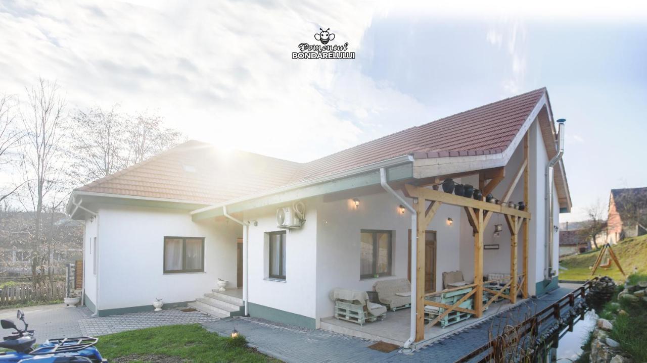 Hotel Domeniul Bondarelului Ocolisu Mic Esterno foto