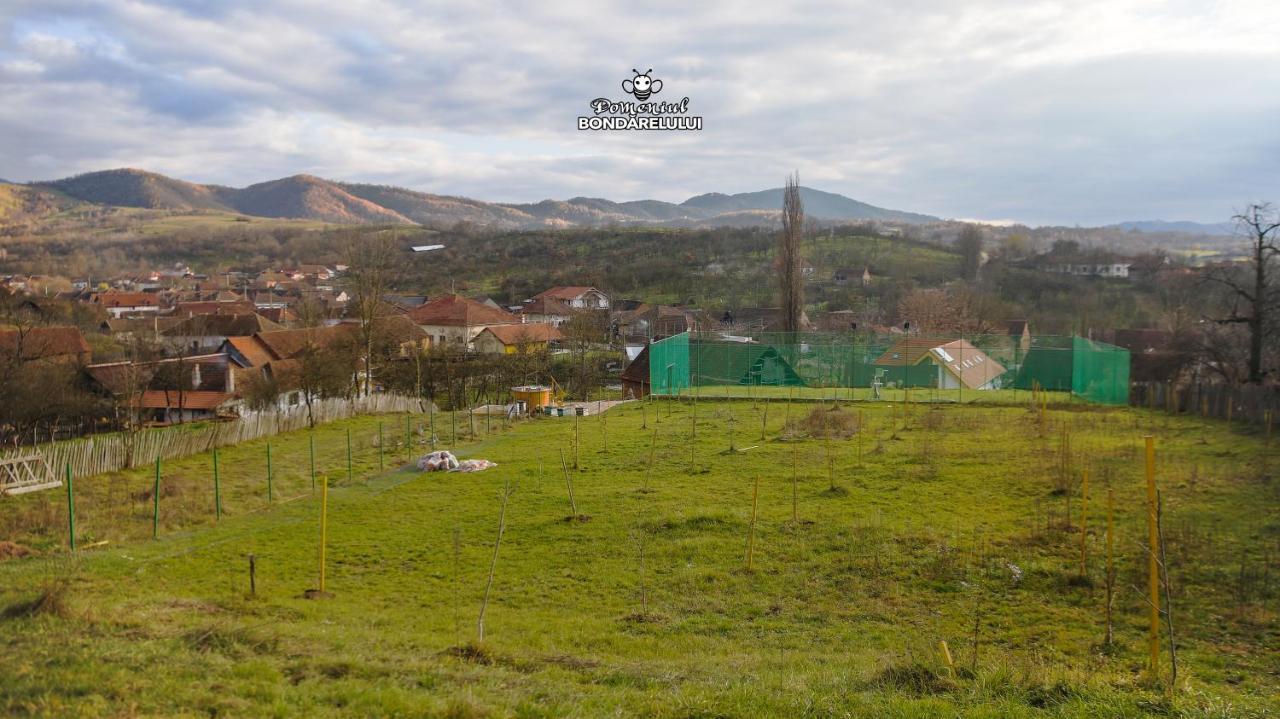 Hotel Domeniul Bondarelului Ocolisu Mic Esterno foto