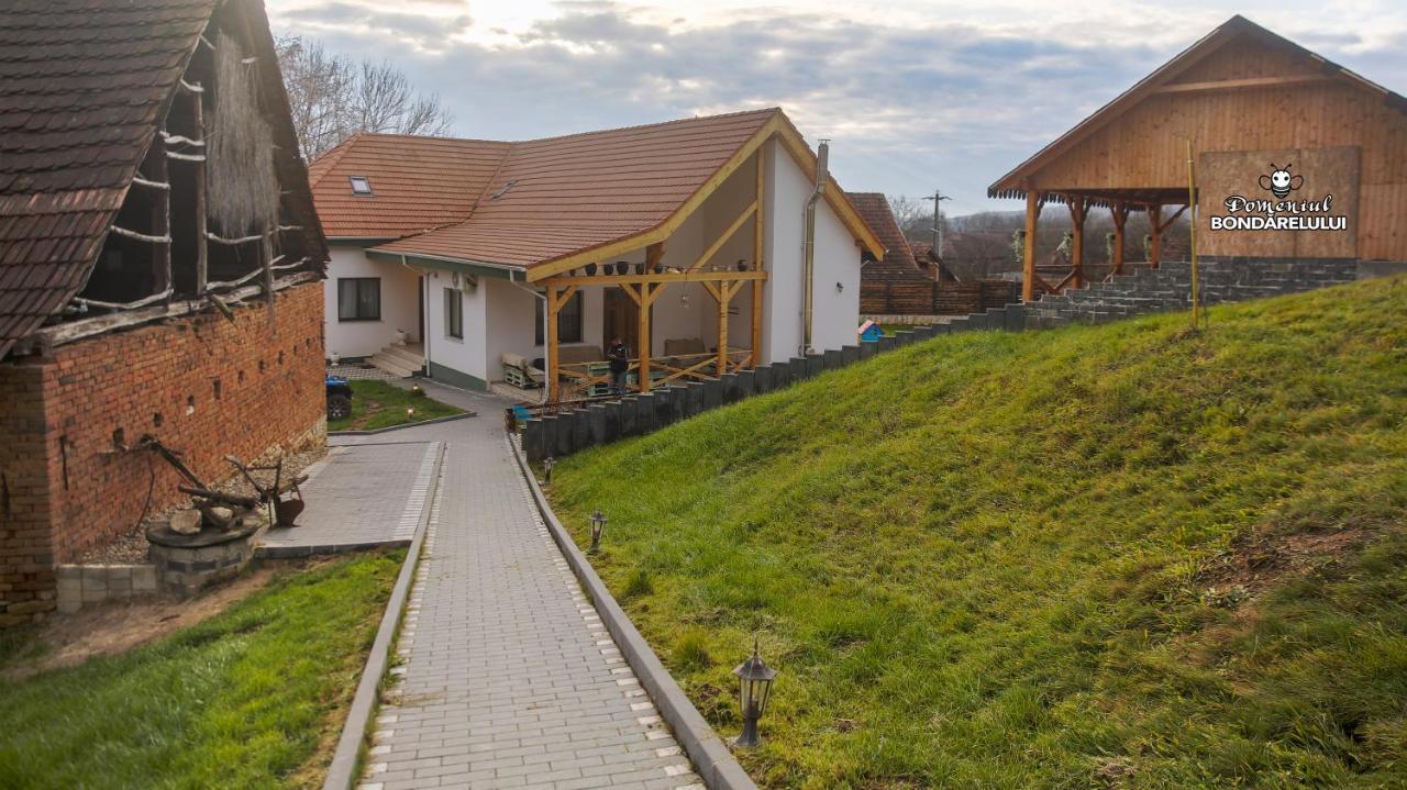 Hotel Domeniul Bondarelului Ocolisu Mic Esterno foto