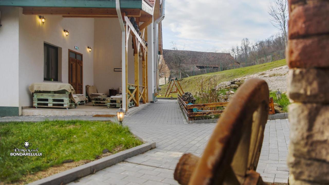 Hotel Domeniul Bondarelului Ocolisu Mic Esterno foto