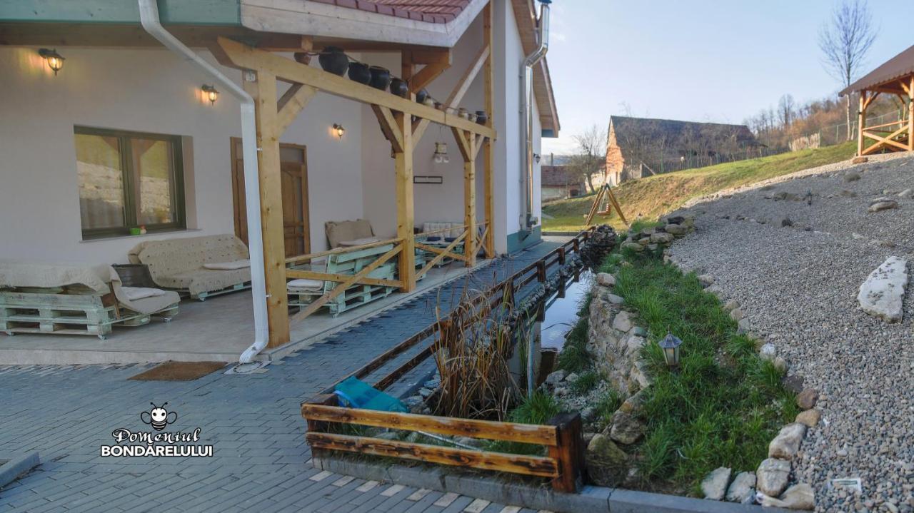 Hotel Domeniul Bondarelului Ocolisu Mic Esterno foto