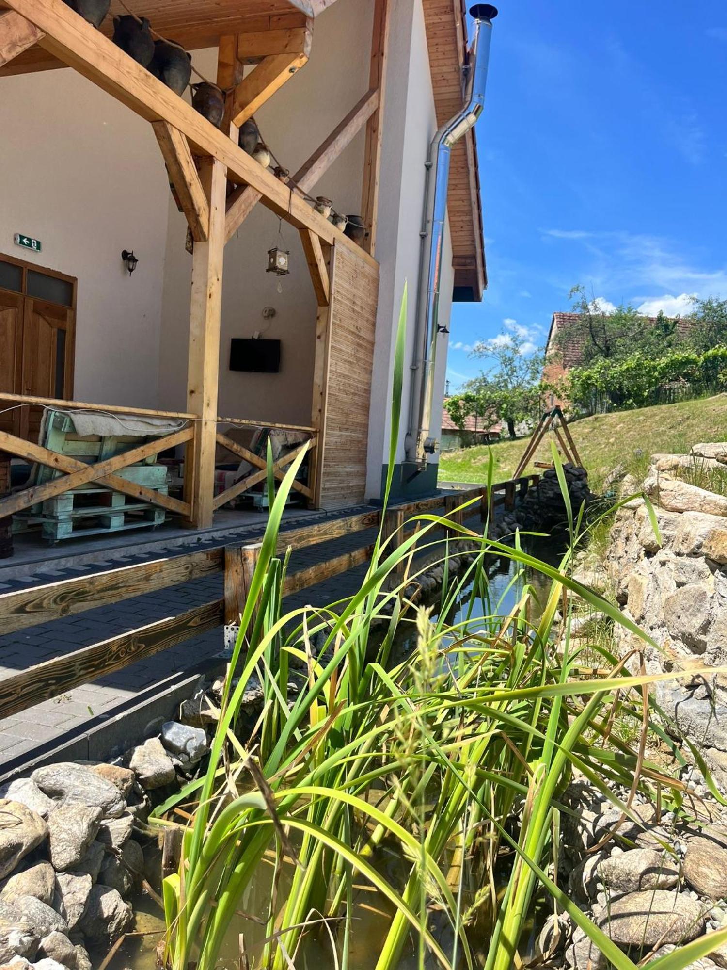 Hotel Domeniul Bondarelului Ocolisu Mic Esterno foto